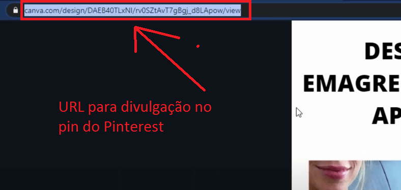 link para divulgação nos pin do pinterest