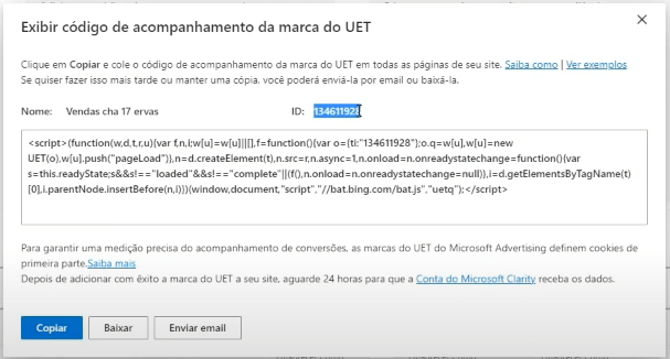 Pixel da Monetizze no Bing Ads