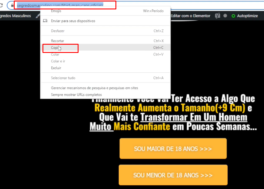 URL Final no Google Ads